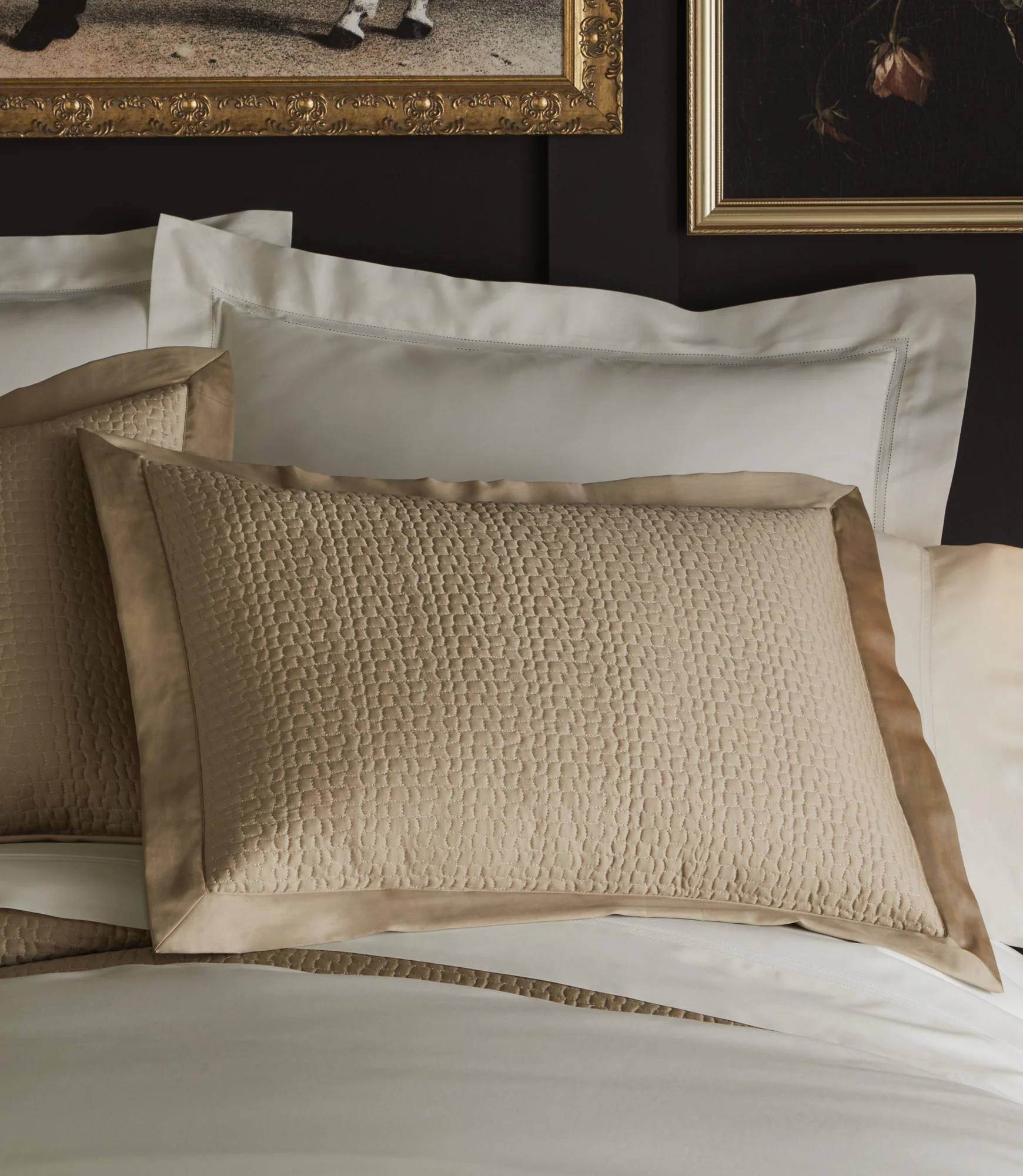 Lyric Percale Sham - Image 9